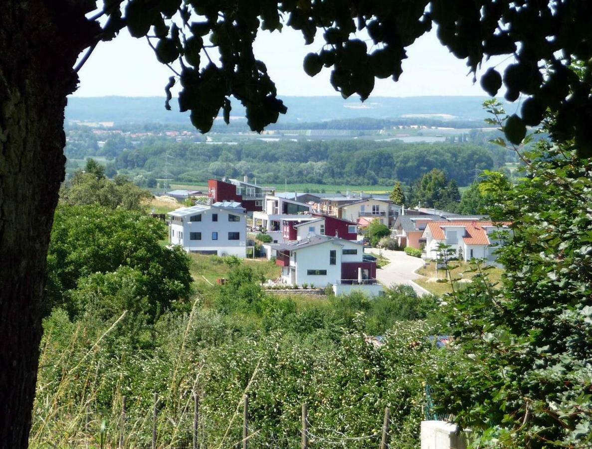 Haus Bodenseeblick Бодман-Людвігсгафен Екстер'єр фото